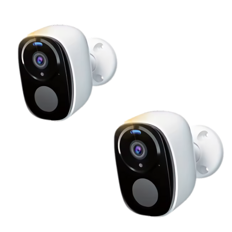 SafeWatch Pro x 2