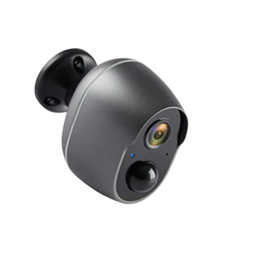 SafeWatch Pro
